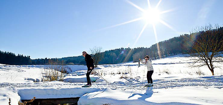 Winter im Bayerischen Wald